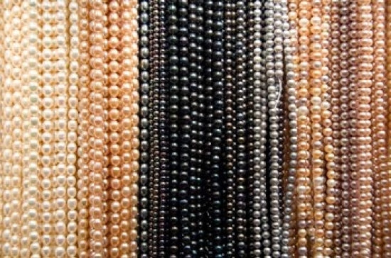 Hong Kong Freshwater Pearls Poster Print by Cindy Miller Hopkins