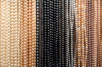 Hong Kong Freshwater Pearls Poster Print by Cindy Miller Hopkins
