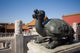 Turtle Statue in Forbidden City Beijing Poster Print by Dave Bartruff