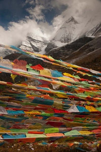 Prayer Flags at Milk Lake in Yading Natural Area, China Poster Print