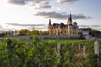 Chateau Changyu AFIP Global Winery Poster Print by Janis Miglavs