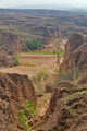 Fine art print of Shepard Yellow Valley Cliff by Janis Miglavs