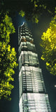 Jinmao Building at Night Poster Print by Keren Su showcasing Shanghai skyline
