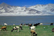 http://c328301.r1.cf1.rackcdn.com/PDDAS07KSU0617.jpg