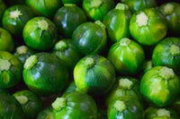 Cucumber fine art print by Keren Su showcasing vibrant nature photography.