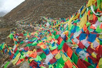 Praying Flags with Mt. Quer Shan by Keren Su Poster Print