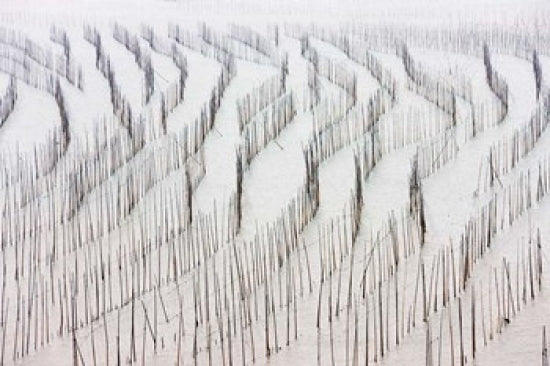 Agriculture and Seaweed Drying Poster Print by Keren Su