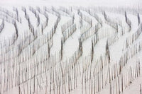Agriculture and Seaweed Drying Poster Print by Keren Su