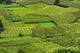 Corn field in Zhonglu Village, Danba County Art Print by Keren Su