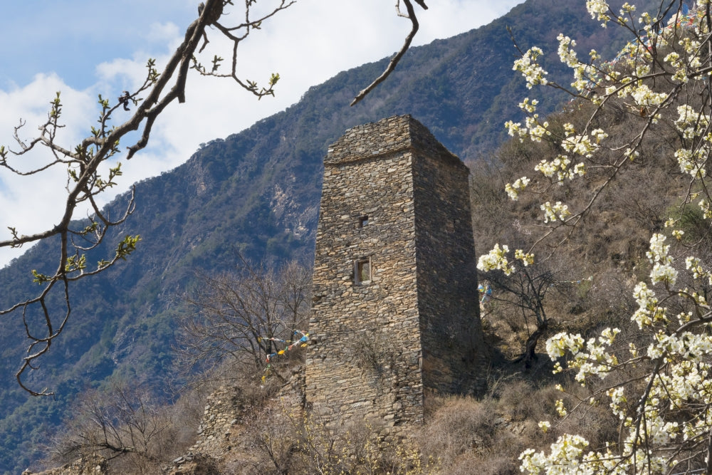 Old Tibetan Castle on mountain slope with pear flowers poster print by Keren Su