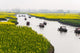 Rowing boat on river through canola flower fields in China poster print