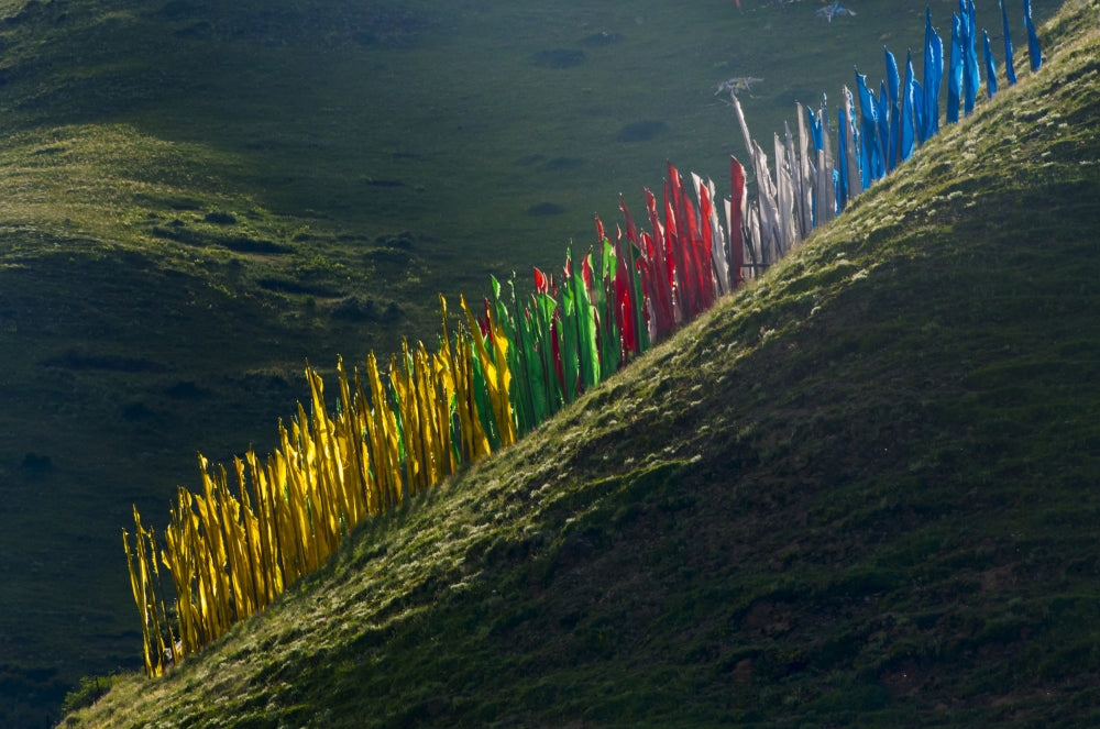 Prayer Flags on Hillside, Tagong, Western Sichuan, China Poster Print by Keren Su