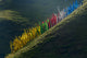 Prayer Flags on Hillside, Tagong, Western Sichuan, China Poster Print by Keren Su