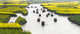 Rowing boat on river through canola flower fields poster print.