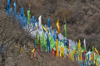 Tibetan prayer flags on a mountain slope in Jinchuan, Sichuan Province, China.