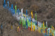 Tibetan prayer flags on a mountain slope in Jinchuan, Sichuan Province, China.