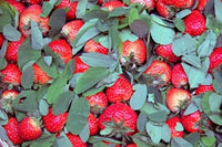 Chongqing Strawberries in Fruit Market Poster Print by Kymri Wilt