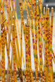 Incense at Sik Sik Yuen Wong Tai Sin Temple Poster Print by Michael DeFreitas