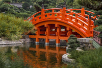 Poster print of the Chi Lin Nunnery and Nan Lian Garden in Hong Kong by Michael DeFreitas