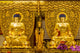 Grand Hall of Ten Thousand Buddhas Poster Print at Po Lin Monastery