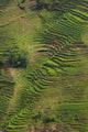 Rice Terraces of the Ailao Mountains poster print by Pete Oxford, showcasing vibrant green terraces and mountains.