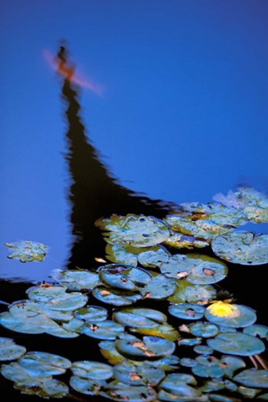 Lily Pond and Temple Reflection in Blue Poster Print by Walter Bibikow