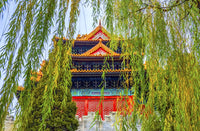 Arrow Tower in Autumn poster print featuring a willow tree and Forbidden City wall in Beijing.