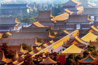 Yellow roofs of the Forbidden City captured from Jingshan Park, Beijing - Poster Print by William Perry