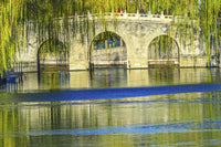 Bridge at Jade Flower Island poster print by William Perry