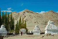 White Stupa Forest poster print showcasing tranquil landscapes of Shey, Ladakh, India.