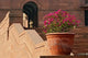 Steps at Central Secretariat, Raisina Hill, New Delhi Poster Print by Adam Jones