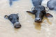 Water Buffalos in Ganges River Poster Print by Ali Kabas, showcasing serene nature scene in Varanasi, India.