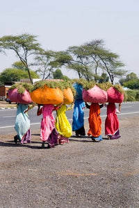 Women Carrying Loads on Road to Jodhpur, Rajasthan, India Poster Print by Bill Bachmann