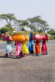 Women Carrying Loads on Road to Jodhpur, Rajasthan, India Poster Print by Bill Bachmann