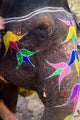 Elephant at Amber Fort Poster Print by Bill Bachmann showcasing vibrant Indian culture.