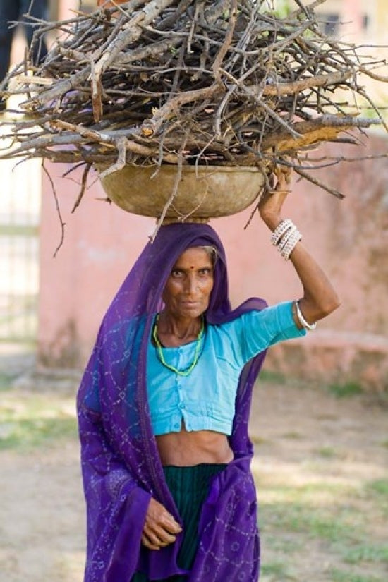 Woman Carrying Firewood on Head in Jungle of Ranthambore National Park Poster Print
