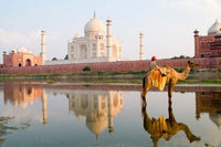 Young Boy on Camel at Taj Mahal Sunset Poster Print by Bill Bachmann