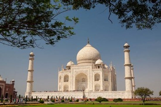 Taj Mahal with framing trees poster print by Brent Bergherm