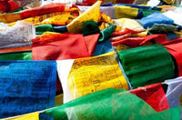 Prayer Flags at Namshangla Pass, Ladakh, India Poster Print