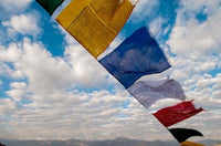 Prayer Flags in Leh, Ladakh, India Poster Print by Ellen Clark