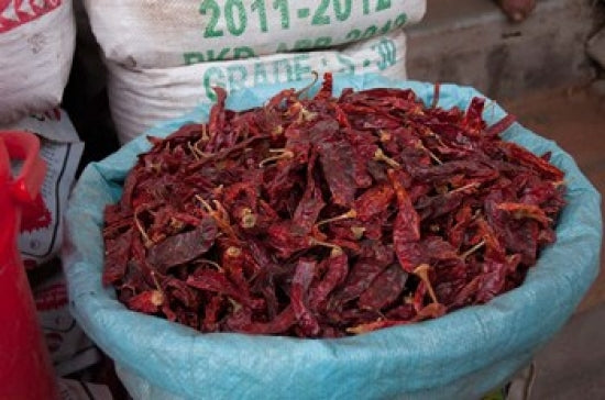 Dried Chilies Poster Print featuring vibrant colors from Jojawar, Rajasthan, India.