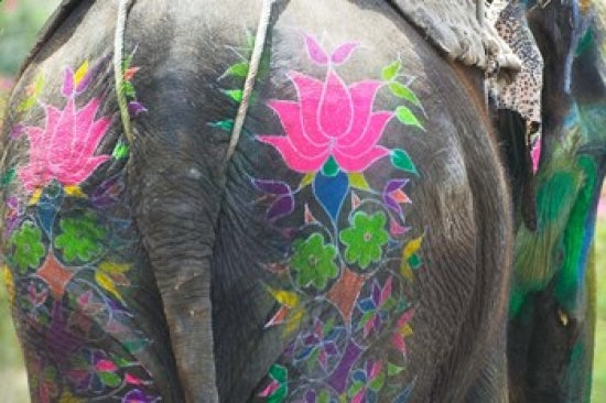 Vibrant poster of a decorated elephant at the Elephant Festival in Jaipur, Rajasthan, India