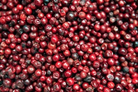 Darjeeling Red Berries and Fresh Fruits Poster Print by Kymri Wilt