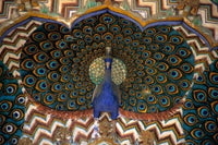 Peacock Gate at Jaipur Palace Poster Print by Kymri Wilt, showcasing vibrant Indian architecture.