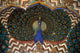 Peacock Gate at Jaipur Palace Poster Print by Kymri Wilt, showcasing vibrant Indian architecture.