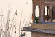 Daily Life Along The Ganges River Poster Print by Micah Wright showcasing Varanasi's culture.