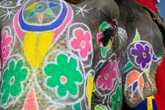 Painted Elephant at Amber Fort India Poster Print by Walter Bibikow, colorful art print