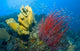 Raja Ampat Indonesia Poster Print by Jaynes Gallery