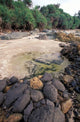 Beach Landscape Poster Print by Gavriel Jecan showcasing Java, Indonesia