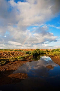 Bali Indonesia Suwung Waste Dump Poster Print by Micah Wright